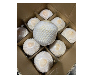 Noix de coco jeune de qualité supérieure, coupée en diamant, directement de la ferme vietnamienne - Noix de coco jeune coupée en diamant, propre et prête à boire, pour l'exportation - Product Image 6