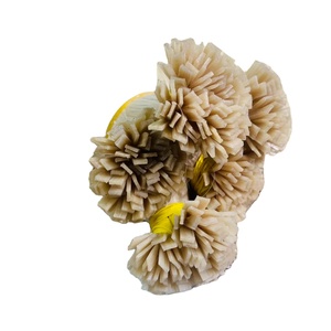 เคล็ดลับคุณภาพสูง 100% ต่อผมมนุษย์บริสุทธิ์เวียดนามจาก NasaHair - Product Image 1