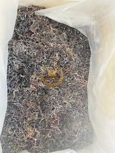 Musgo Marino Seco de Alta Calidad de Vietnam// Musgo Marino Irlandés Seco Dorado Más Vendido - Product Image 2