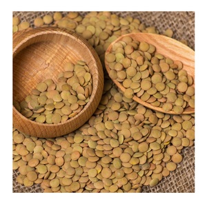 Meilleur prix pour les lentilles vertes entières canadiennes, lentilles vertes biologiques sèches, stock en vrac disponible avec emballage personnalisé - Product Image 4