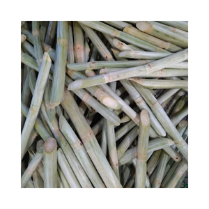 El jugo de caña de azúcar congelado IQF mejor vendedor de Vietnam precio barato y alta calidad - Product Image 3