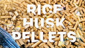 Proveedor y Exportador Confiable de Pellets de Cáscara de Arroz con Licencia de Exportación, Principales Fabricantes Mundiales para Alimentación Animal, Marca OEM, Bolsa de Plástico - Product Image 3