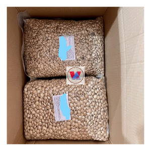 HIGH STANDARD | Sacha Inchi <b>Nuts</b> / Sacha Inchi Oil / Inca Peanut Ready to Ship With Export Standard - Product Image 1