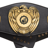 Ceinture de championnat professionnelle en cuir, trophée sportif léger personnalisé pour la lutte
