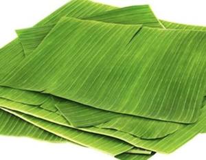 Feuille de bananier de qualité supérieure feuilles de bananier du Vietnam emballage culinaire écologique agriculture de qualité supérieure du Vietnam - Product Image 5