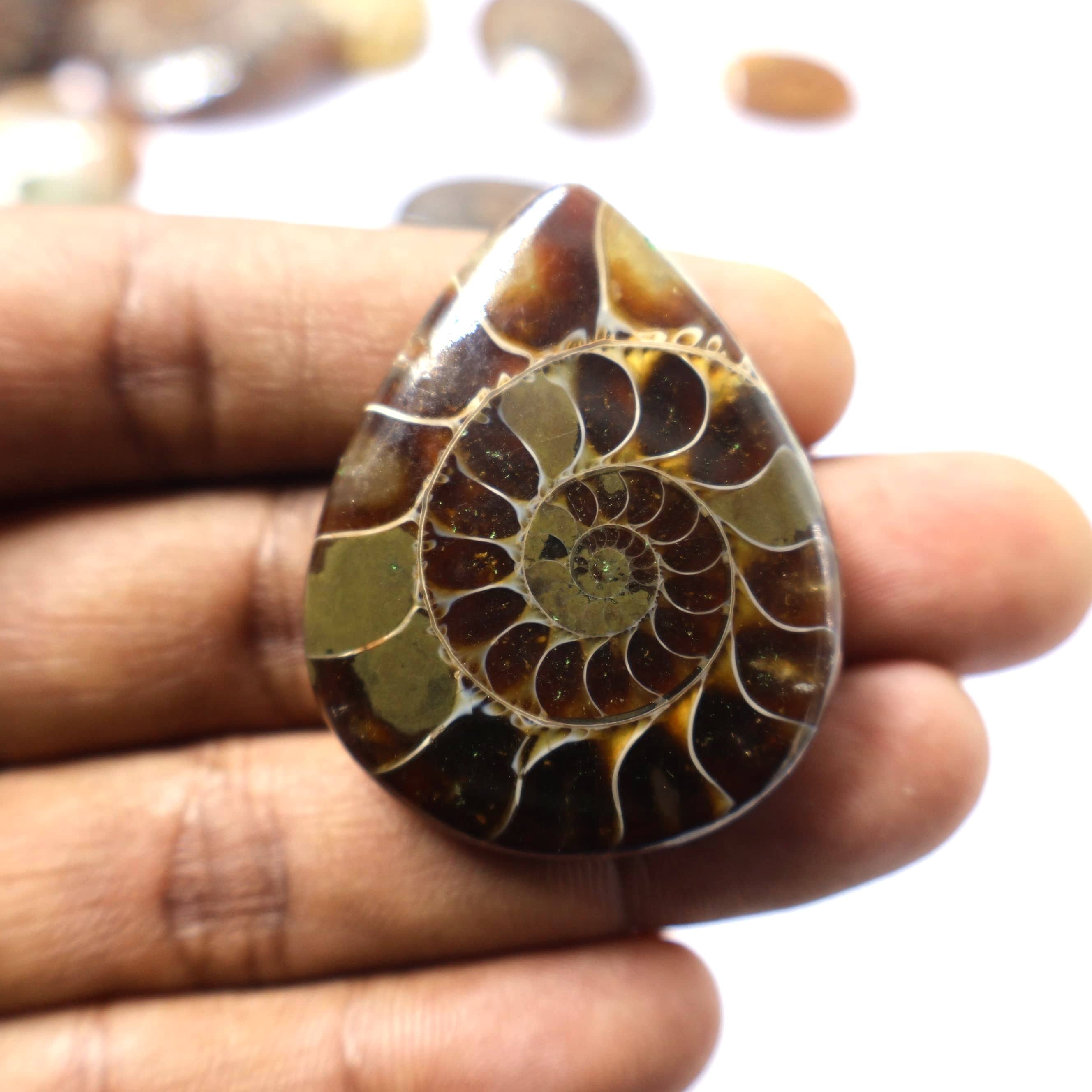 เห็นเป็นภาพ