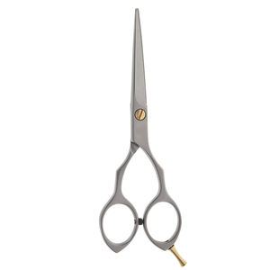 Tijeras de peluquería de alta calidad, hoja afilada de acero inoxidable, tijeras de corte de pelo para salón, herramientas de belleza - Product Image 1
