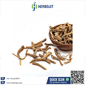 ผู้ส่งออกรากพัชานบhed คุณภาพพรีเมียม แท้ 100% แบบแห้ง บรรจุภัณฑ์พลาสติกสุญญากาศ เกรดดีที่สุด ราคาถูก - Product Image 6