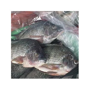 ฟาร์มปลานิลแช่แข็งที่มีโปรตีนสูงผ่านกระบวนการที่ถูกสุขลักษณะและแช่แข็งลึกเพื่อการส่งออก - Product Image 6