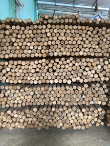 Piquets de bambou séchés pour le soutien de l'agriculture en vignoble, canne naturelle de Tonkin, fabricant au Vietnam - Product Image 4