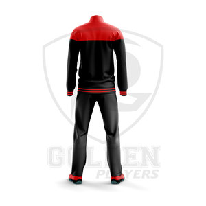2023 nouveauté personnalisé hommes grande taille survêtements décontracté impression Style été vêtements de sport avec Logo conception personnalisée survêtement - Product Image 5