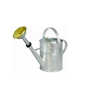 Arrosoir au design vintage arrosoir galvanisé de qualité supérieure arrosoir couleur argent pour le jardinage domestique - Product Image 1