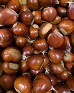 Las Mejores Castañas Chinas Orgánicas Crudas Frescas a la Venta - Product Image 5