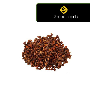 เมล็ดองุ่นธรรมชาติบริสุทธิ์จากอินเดียในราคาที่เหมาะสม - Product Image 2