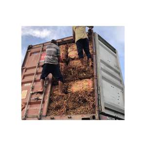 PRODUCTO JACINTO DE AGUA SECA MEJOR PRECIO EN VIET NAM MATERIAL HECHO EN VIET NAM FORMA BLUE LOTUS FARM VIET NAM - Product Image 4