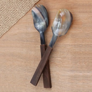 Serveur à salade en corne de buffle en bois de luxe pour la cuisine à domicile Emballage de soins de la peau de puissance personnalisable Configuration de table à manger traditionnelle - Product Image 2