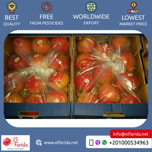 100% tự nhiên lựu từ Ai Cập ngọt ngào và ngon với chất lượng tuyệt vời giá cả cạnh tranh cho trái cây tươi - Product Image 3