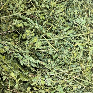 Bulk Sun-Dried Alfalfa Hay Freshly Packed for Horse Pig Cattle and Farm Livestock <b>Feeding</b> - Product Image 1