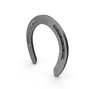 Nouveauté : Fer à cheval forgé en acier inoxydable avec logo personnalisé pour courses de chevaux – Couleur et taille personnalisées durables pour l'équitation - Product Image 4