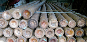 Materias primas Bamaoo - Product Image 3