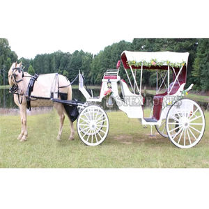 Carruaje de caballos Victoria a la venta Boda inglesa Victoria Horse Drawn Buggy a la venta Carruajes de Caballos Reales - Product Image 2