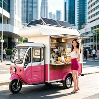 Chariot à shawarma de qualité industrielle avec gril vertical et riz hummus pour les bazars du Moyen-Orient