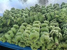 Fournisseur de bananes Cavendish fraîches de qualité supérieure au Vietnam - Product Image 3