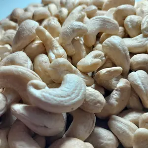 From Santigo Vietnam Kaju Premium Cashew Cashew Nuts W320 Cashew Nuts