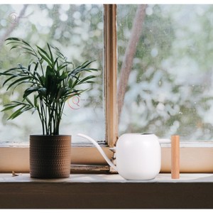 บัวรดน้ำสแตนเลสสำหรับสวนในบ้านดีไซน์หรูหราอุปกรณ์เคลือบผงสีขาวทรงกลม - Product Image 6