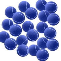 Pelotas de tenis de color blanco más vendidas recién llegadas para entrenamiento de tenis de mesa al aire libre partido de cricket servicio OEM pelotas blandas MOQ bajo