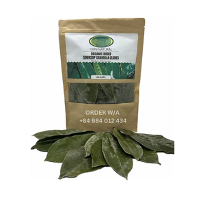 Origin Type Life Size Grade Product Iso Quality Ventas al por mayor Proveedor de hojas secas Guanábana seca Deja de Vietnam - Product Image 4