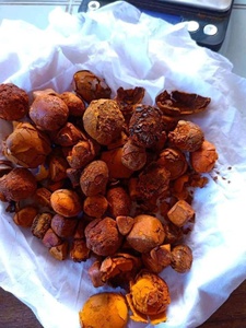 Cow and Ox Dried Gallstones of Cattle (Bezoars) - Product Image 3