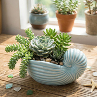 Prix de Gros Négociable Pot de Fleurs en Céramique Personnalisé, Vases et Jardinières en Forme d'Étoile de Mer, Vases à Succulentes en Céramique, Petits Pots de Fleurs