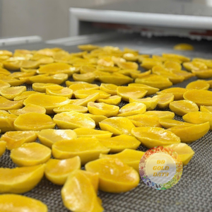 Brochetas de Mango Congeladas 100% Frescas y Trozos de Mango Congelados LQF, Fruta Congelada en Conservación de Agua, Empaquetado a Granel - Caryln - Product Image 4