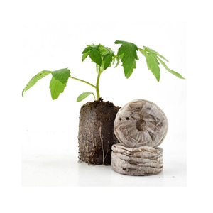 Pellets de tourbe de coco fleurs plante Agriculture bloc de sol vert/LA MEILLEURE QUALITÉ COCO COIR PELLET POUR LA CULTURE DE PLANTES AU VIETNAM - Product Image 2