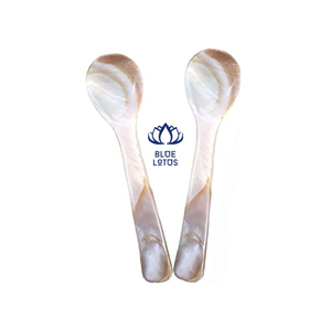 Cuillère en coquillage de conque du Vietnam à prix compétitif pour l'exportation - Product Image 4