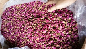 Fabricante de Vietnam que ofrece rosas secas para compradores internacionales con una producción confiable - Product Image 4