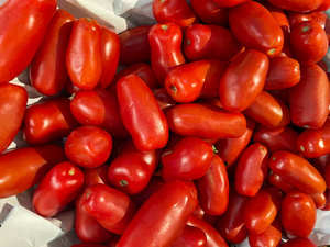 Tomates Cherry Rojos Frescos Orgánicos de la Mejor Calidad en Venta - Product Image 5