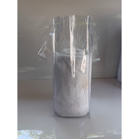 Sac en PVC imperméable personnalisé à soufflets sur 3 côtés avec poignée soudée, sac de transport transparent avec poche à bouton-pression personnalisée, imprimé en sérigraphie
