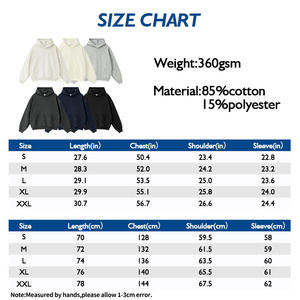 Sweat à capuche surdimensionné de luxe personnalisé pour hommes sweat à capuche lourd 360gsm streetwear pull-over sweat-shirt en coton logo personnalisé sweats à capuche en éponge française - Product Image 3