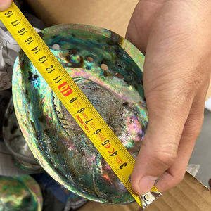 Top Trend Vietnam <b>Abalone</b> <b>Shell</b> Stunning Natural Pattern Vietnam <b>Abalone</b> <b>Shell</b> For Handmade Decoration And Art Use - Product Image 1