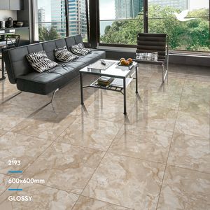 Fabricantes y exportadores de porcelana caliente Azulejos indios Acabado brillante 600x600 y 600x1200 Tamaños para decoración de habitaciones de hotel - Product Image 6