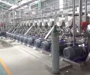 Ligne de Production Entièrement Automatique pour la Transformation Alimentaire d'Amidon de Manioc/Pomme de Terre - Product Image 6