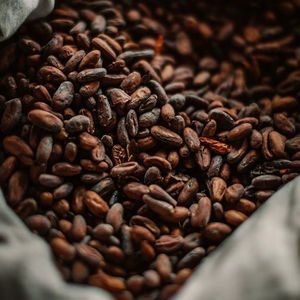 100% Cacao en polvo crudo orgánico puro tostado y seco Granos de cacao enteros Arriba Nacional Compra al por mayor - Product Image 1