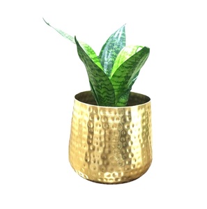 Florero de Metal para decoración del hogar, artículo decorativo para mesa, dormitorio, sala de estar, oficina, el mejor regalo, bodas, festivales, cumpleaños - Product Image 4