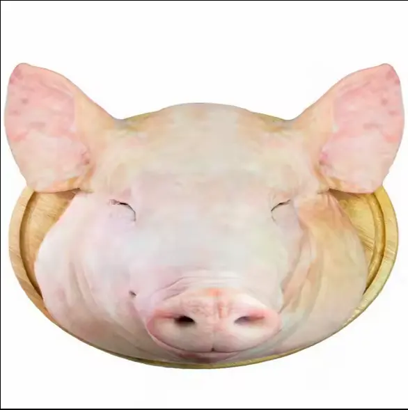 Top Brailan exporter of Frozen Pork Head Meat and Pork Parts to Eu,Asia and the World