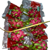 Buah Naga Merah Laris Manis Pitaya Buah Tropis Dari Peternakan Vietnam Siap Ekspor ke Uni Eropa, Australia, AS