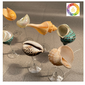 Verre de coquille de haute qualité du Vietnam pour la crème glacée de cocktail de Champagne et les desserts de fruits - Product Image 4