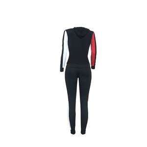 Femmes décontracté Sport hiver 2 pièces ensemble à capuche polaire tissu sweat à capuche zippé Joggers Patchwork Design motif solide séchage rapide - Product Image 2