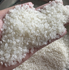 Alta calidad Japonica/Sushi Calrose arroz blanco seco de grano redondo y arroz Basmati largo y corto para uso alimentario/ANNA DO VILACONIC - Product Image 5